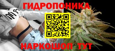 ГАЛЛЮЦИНОГЕННЫЕ ГРИБЫ Славгород