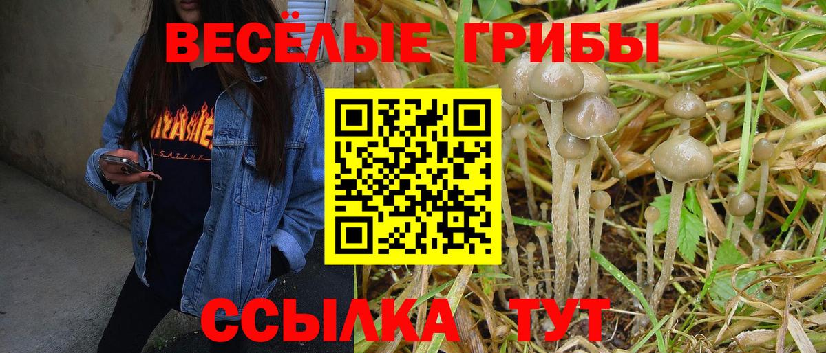 продажа наркотиков  Псилоцибиновые грибы Magic Shrooms  Вход с VPN  Осинники 